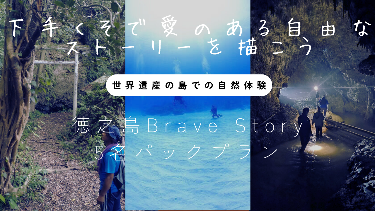 とくのしまブレイブストーリー