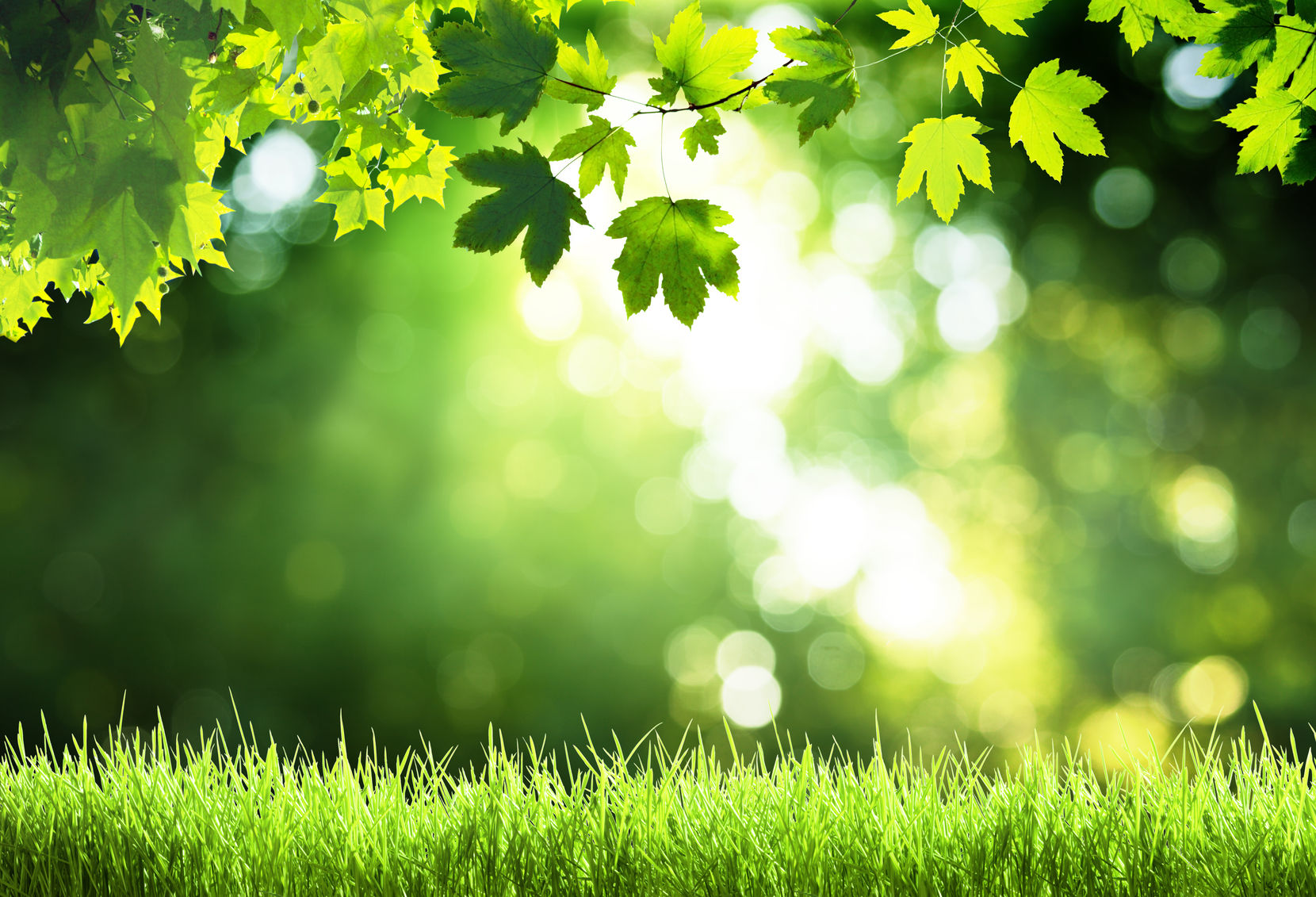 平山テスト商品